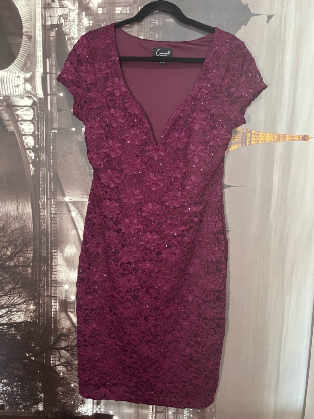 Wedding guest/ cocktail  Women’s Embellished Lace Dress in Wine